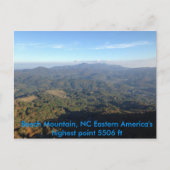 Uitzicht van de bergzomer van beuk briefkaart (Voorkant)