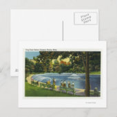 Uitzicht van de Boston Common Frog Pond Briefkaart (Voorkant / Achterkant)