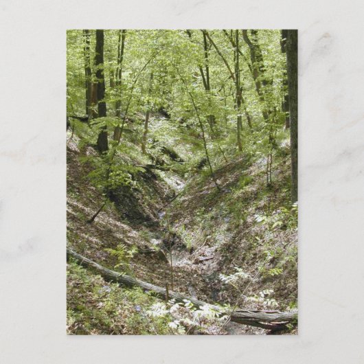 Uitzicht van de briefkaarten van de brug van Ledge (Voorkant)