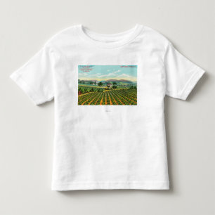 Uitzicht van de giersberg-wijngaard Napa, CA Kinder Shirts