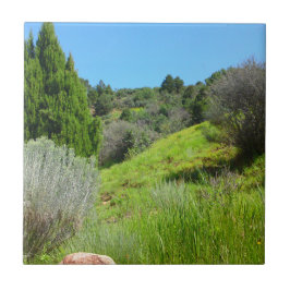 Uitzicht van de Groene Tegel Tegeltje