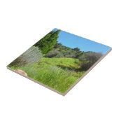 Uitzicht van de Groene Tegel Tegeltje (Zijkant)