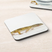 Uitzicht van de hagedis bier onderzetter (Linkerzijde)