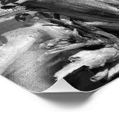 Uitzicht van de haven - Plymouth, Massachusetts Foto Afdruk (Hoek)