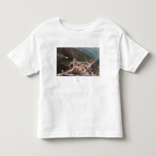 Uitzicht van de Hecla-mijn die de Canyon omlaag ki Kinder Shirts