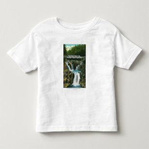 Uitzicht van de Herfsten van Split Rock en Bridge Kinder Shirts