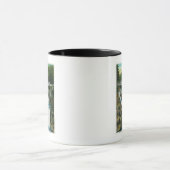 Uitzicht van de Herfsten van Split Rock en Bridge Mok (Midden)