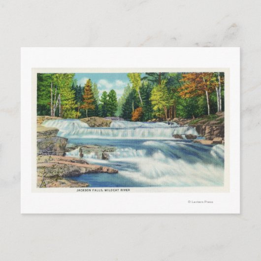 Uitzicht van de Herfsten Wilde Cat en Jackson Briefkaart (Voorkant)