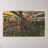 Uitzicht van de JR Simplot Dehydrating Co. Poster (Voorkant)