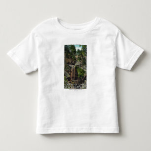 Uitzicht van de kamer van beroep van Plato Kinder Shirts