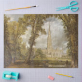 Uitzicht van de kathedraal van Salisbury (door Joh Tissuepapier (Craft)