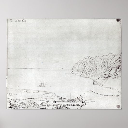 Uitzicht van de kust van Chili Poster (Voorkant)