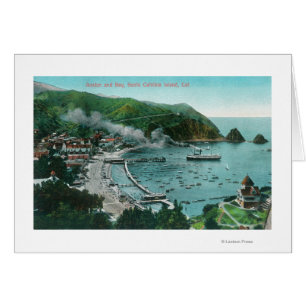 Uitzicht van de lucht van Avalon en Bay