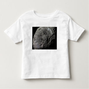 Uitzicht van de maan Hyperion van Saturnus met val Kinder Shirts