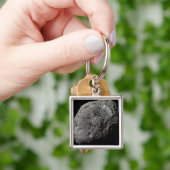 Uitzicht van de maan Hyperion van Saturnus met val Sleutelhanger (Hand)