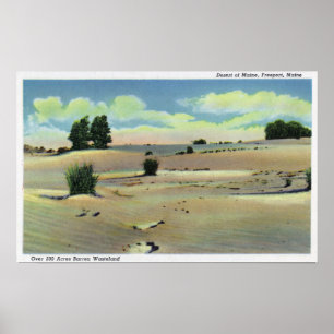 Uitzicht van de Maine-woestijn Poster