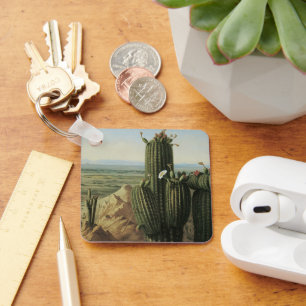 Uitzicht van de Maricopa-berg bij Rio Gila door Pr Sleutelhanger