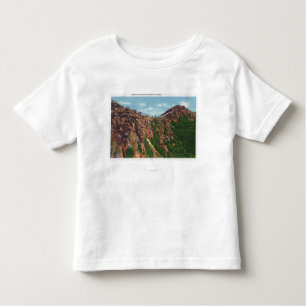 Uitzicht van de Mt-top van Whiteface Kinder Shirts