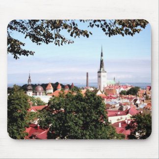 Uitzicht van de Muismat Tallinn