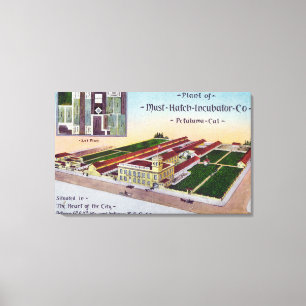 Uitzicht van de "must-Hatch Incubator" Co Bldg Canvas Afdruk