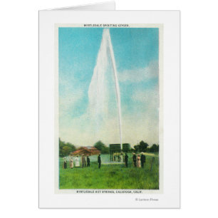 Uitzicht van de Myrtledale Geyser bij de Hot Sprin