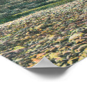 Uitzicht van de Napa County Bridge-Napa, CA Poster (Hoek)