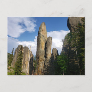 Uitzicht van de Needles Highway, South Dakota Briefkaart
