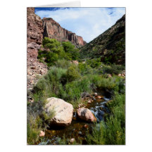 Uitzicht van de Noord-Kaibab Trail