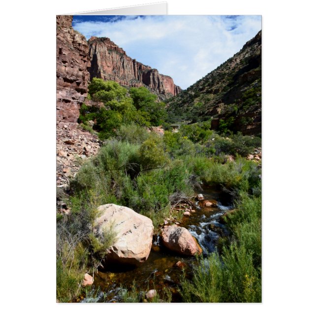 Uitzicht van de Noord-Kaibab Trail (Voorkant)