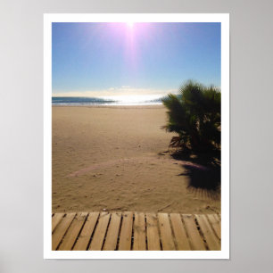 Uitzicht van de oceaan, strand, palmboom, boomloop poster