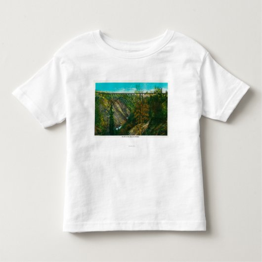 Uitzicht van de orkaanGolfbrug, Alaska Kinder Shirts (Voorkant)
