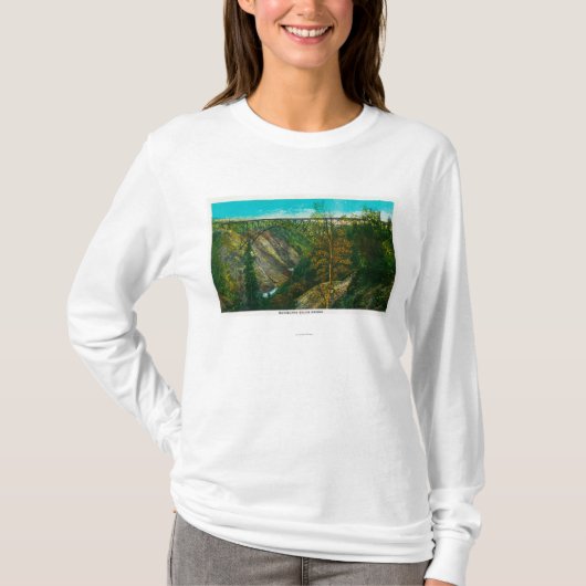 Uitzicht van de orkaanGolfbrug, Alaska T-shirt (Voorkant)