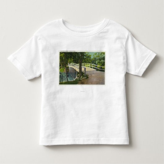 Uitzicht van de oude Noordbrug Kinder Shirts (Voorkant)