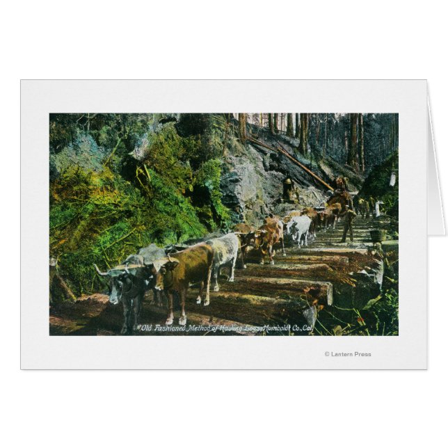 Uitzicht van de Ox-Teams die Logboeken uitzenden (Voorkant Horizontaal)