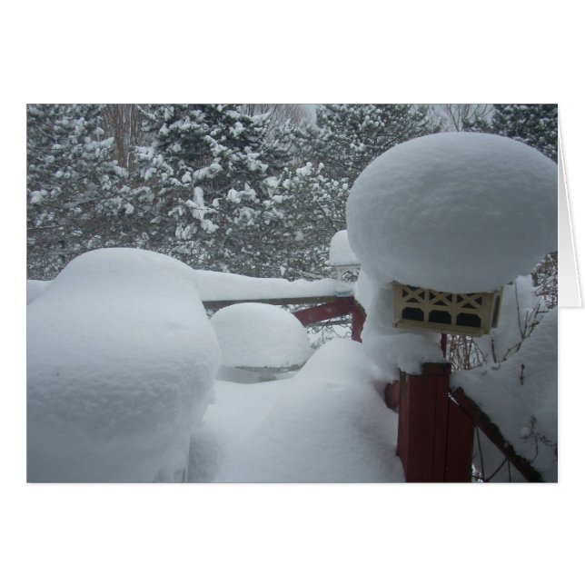 Uitzicht van de Porch (Voorkant Horizontaal)