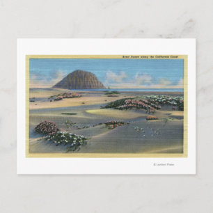 Uitzicht van de Sand Dunes naast de kust Briefkaart