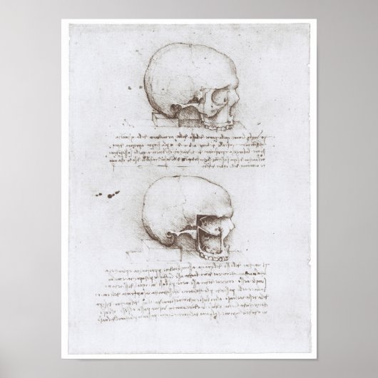 Uitzicht van de schedel, Leonardo da Vinci Poster (Voorkant)