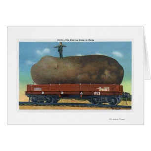 Uitzicht van de soort aardappelen, geteeld in maïs