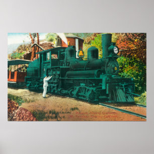 Uitzicht van de spoorlijn Mt. Tamalpais Poster