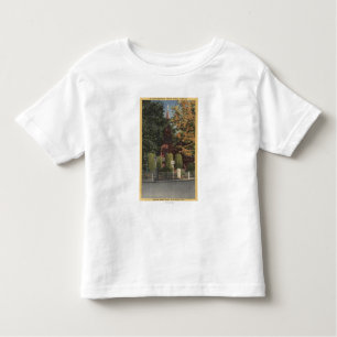 Uitzicht van de St. James Episcopale Kerk Kinder Shirts