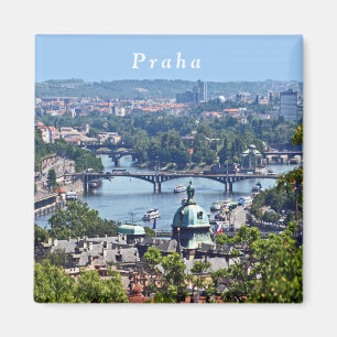 Uitzicht van de stad van het Castle Praag. Magneet