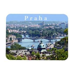 Uitzicht van de stad van het Castle Praag. Magneet