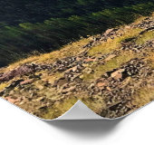 Uitzicht van de Topconferentie van Mount Howard, O Poster (Hoek)