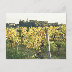 Uitzicht van de Toscane en de Chianti Vineyard Briefkaart