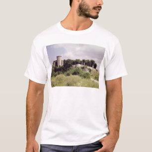 Uitzicht van de Tour de Talbot en behoud van de T-shirt