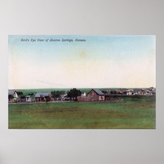 Uitzicht van de TownSharon Springs, KS Poster (Voorkant)