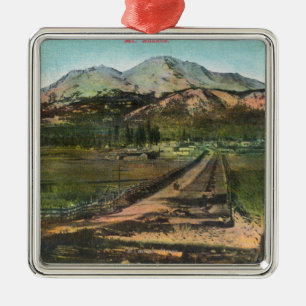 Uitzicht van de Valley en Mt. Shasta Metalen Ornament