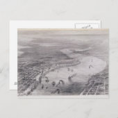 Uitzicht van de vogelsoort van New Orleans Briefkaart (Voorkant / Achterkant)