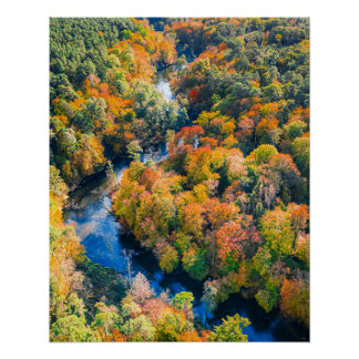 Uitzicht van de windrivier de Sunny Autumn Forest Perfect Poster