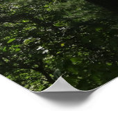 Uitzicht van de zomer in het natuurpark Acadia Poster (Hoek)